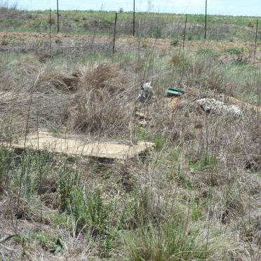 Free State, REITZ district, Alliesrust 806, Aliesrust, farm cemetery