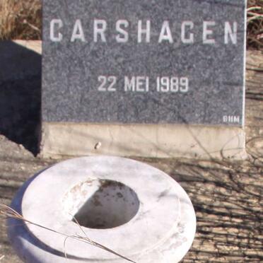 CARSHAGEN Baba 1989-1989