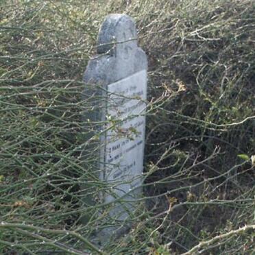 Free State, REITZ district, Steyldrif 1034, farm cemetery