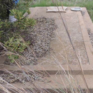 STANDER Carel Hendrik Burger 1865-1940