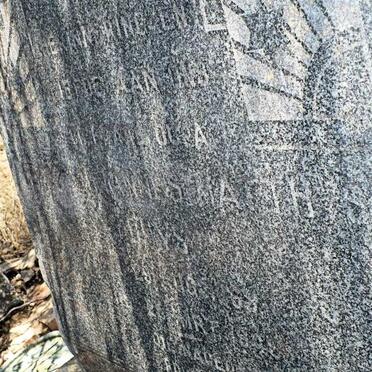 BUYS I. Johannes Matthys 1863 - 1945