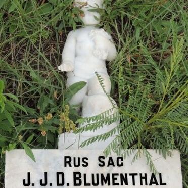 BLUMENTHAL J.J.D. 1933-1934