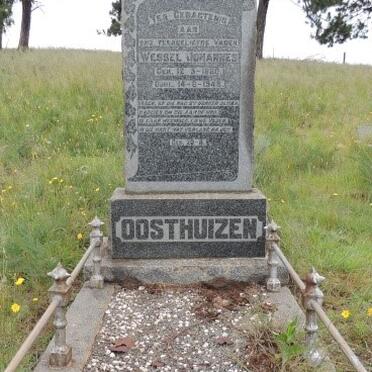 OOSTHUIZEN Wessel Johannes 1868-1948 