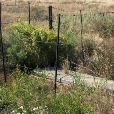 Free State, REITZ district, Leeuwspruit 305, farm cemetery_1