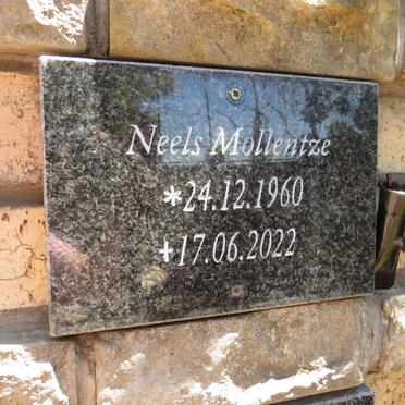 MOLLENTZE Neels 1960-2022