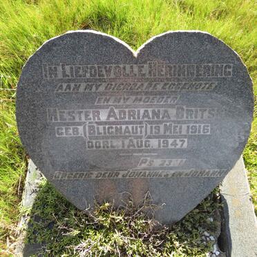 BRITS Hester Adriana nee BLIGNAUT 1916-1947