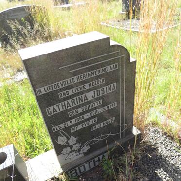 BOTHA Petrus Jacobus 1879-1959 & Catharina Josina SCHUTTE 1888-1971 _2