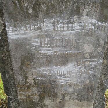 DUMINY Hester Catharina nee PIENAAR 1890-1918