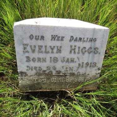 HIGGS Evelyn 1913-1913