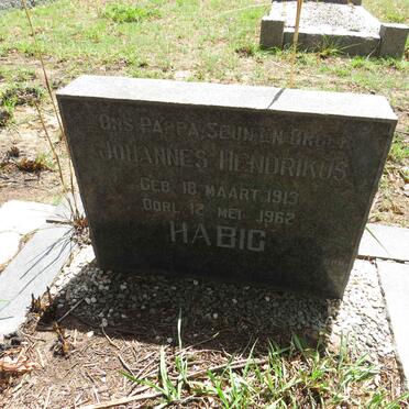 HABIG Johannes Hendrikus 1913-1962