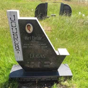 JOUBERT Lucas 1955-1984