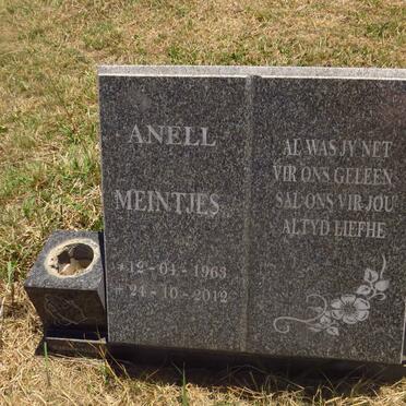 MEINTJES Anell 1963-2012
