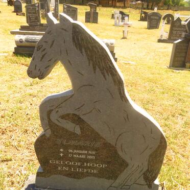 NAUDE Elmarie 1978-2013