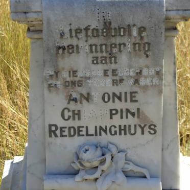 REDELINGHUYS Antonie Chiappini _2