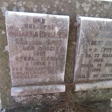 SPUY Lambert Petrus, v.d. 1906-1906 :: VAN DER SPUY Johanna Hendrika 1918-1919