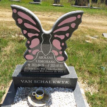 SCHALKWYK Armani Lemohang, van 2021-2021