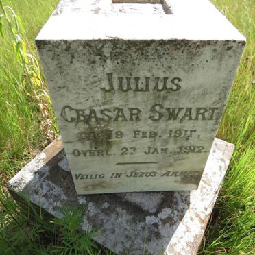SWART Julius Ceasar 1911-1912