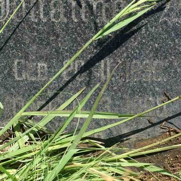 ? Johannes W. 1898-1955 &amp; Helena S. EKSTEEN 1905-