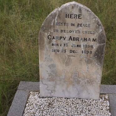 ABRAHAM Carpy 1898-1898