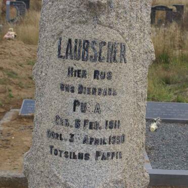 LAUBSCHER Pu?a 1911-1950