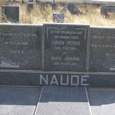 N - Vanne :: Surnames - N