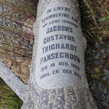 PANSEGROUW Jacobus Gustavus Trichardt 1880-1950