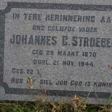 STROEBEL Johannes C. 1870-1944