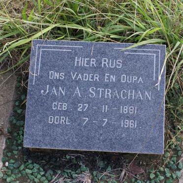 STRACHAN Jan A. 1881-1961