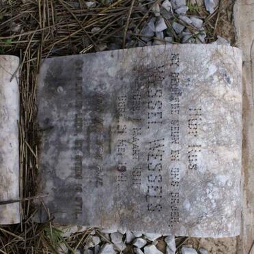 WESSELS Wessel 1911-1941