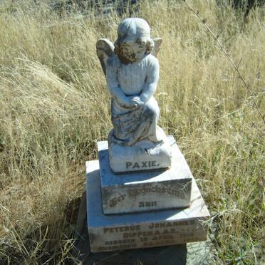 DIPPENAAR Peterus Johannes 1918-1918