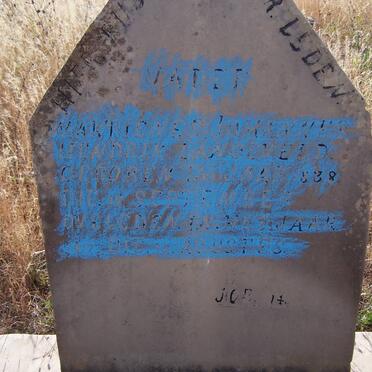 LANGEVELD Marthinus Johannes Hendrik 1838-1917