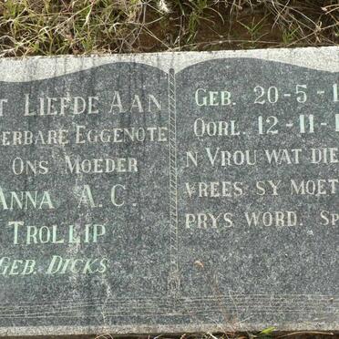 TROLLIP Anna A.C. nee DICKS 1889-1947