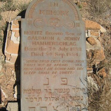 HAMMERSCHLAG Moritz 1883-1884