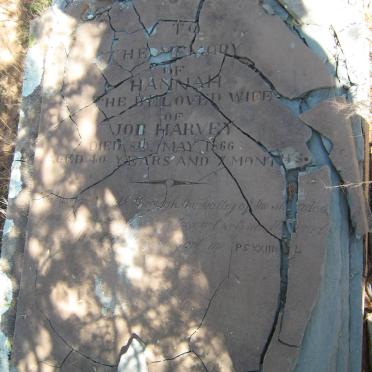 HARVEY Hannah -1866 