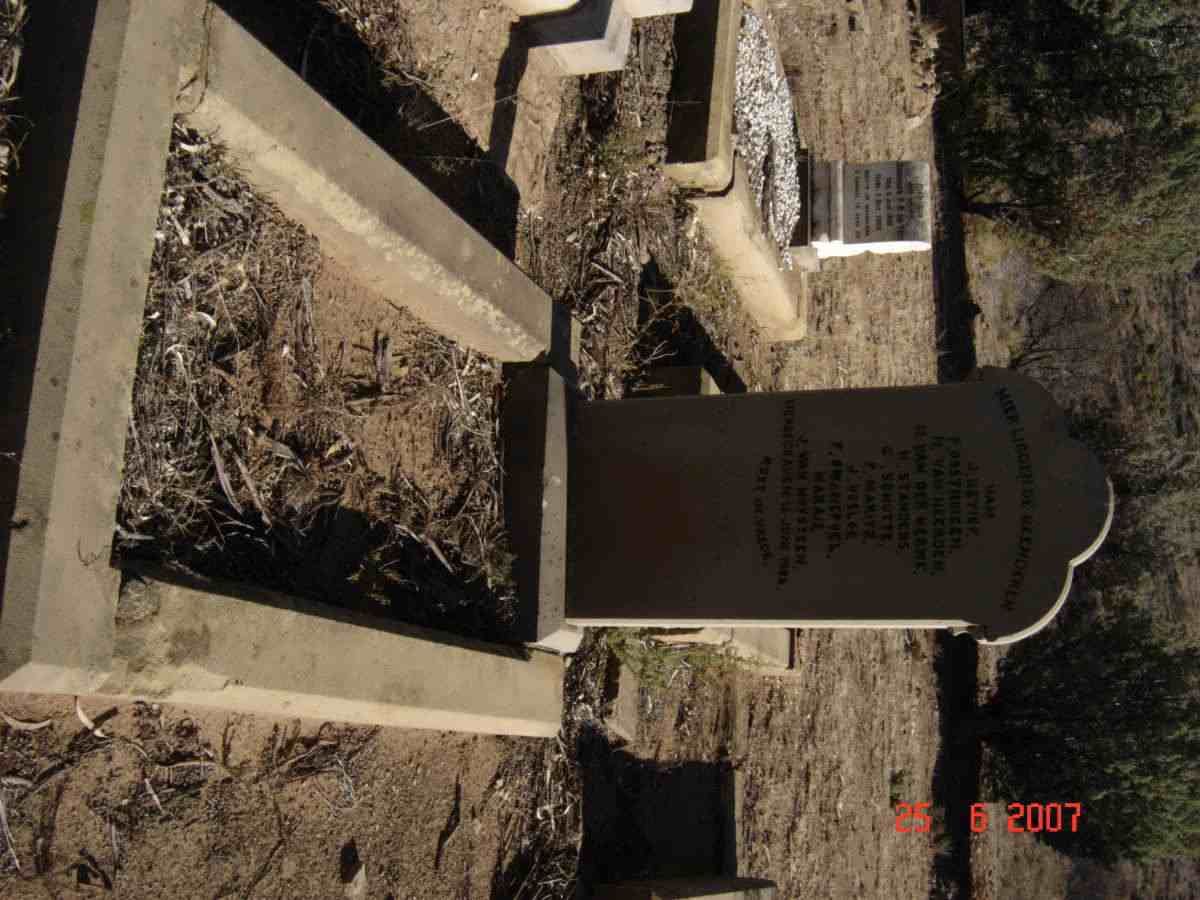 1. The remains of 11 people reinterred in this grave