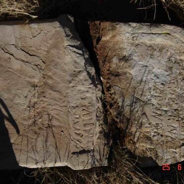 TONDER Cartrina Magdelena, van -1896