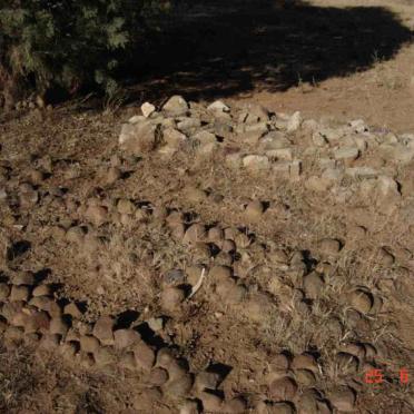 ? Unmarked graves