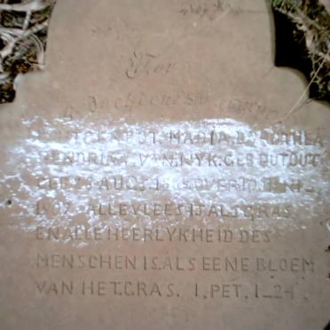 WYK Maria Dorothea Hendrina, van nee DU TOUT 1865-1907