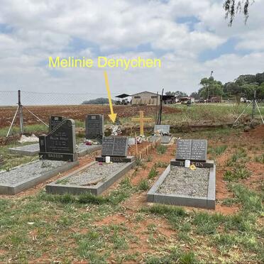 4. Overview / Oorsig 2025