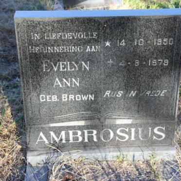 AMBROSIUS Evelyn Ann nee BROWN 1950-1979