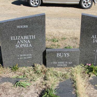 Bu - Surnames starting with the letters Bu