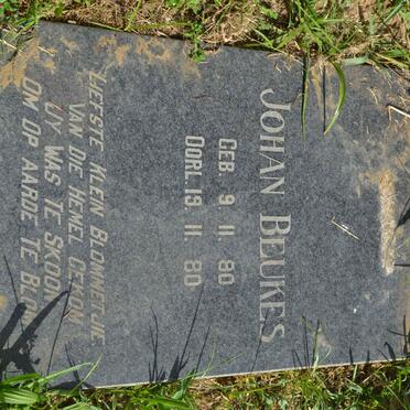 BEUKES Johan 1980-1980