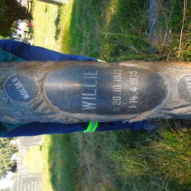 BERG Willie, van der 1953-1975