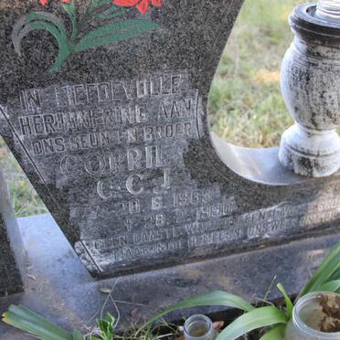 TEICH Hermann Urich Joseph 1883-1888 :: TEICH Hugo William Richard 1885-1888