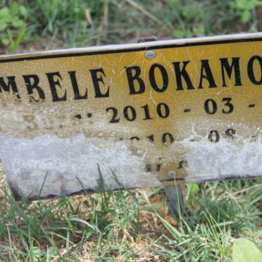 BOKAMOSO Mbele 2010-2010