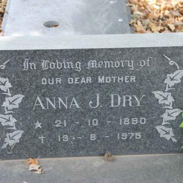 DRY Anna J. 1890-1975