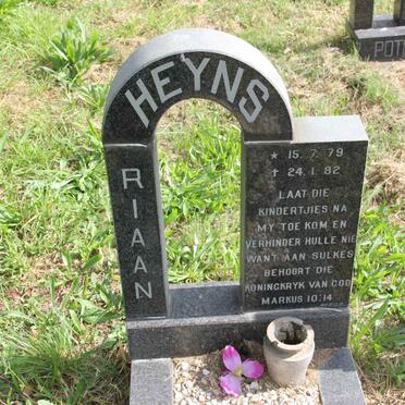 HEYNS Riaan 1979-1982