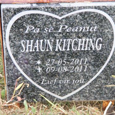 KITCHING Shaun 2011-2011