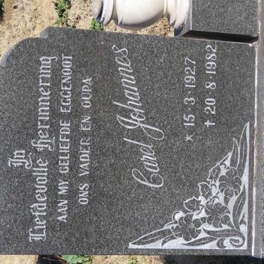 KRUGER Carel Johannes 1927-1982