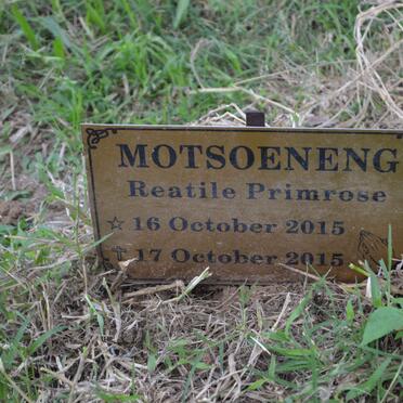 MOTSOENENG Reatile Primrose 2015-2015